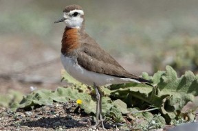 开云官网-?A猬癘vJwYK氏n[牴x?認=c?-圭?晿\IB撗