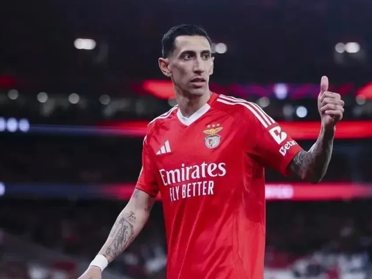 本菲卡最新比赛消息 本菲卡最新比赛消息